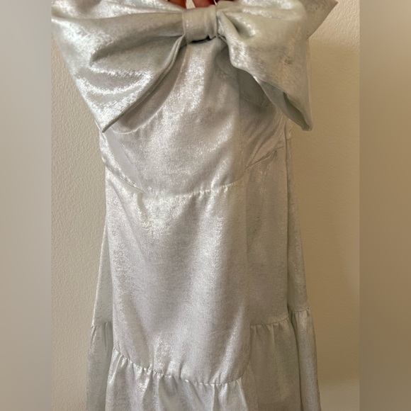 TCEC Silver Ruched Fabric - Picture 3 of 7